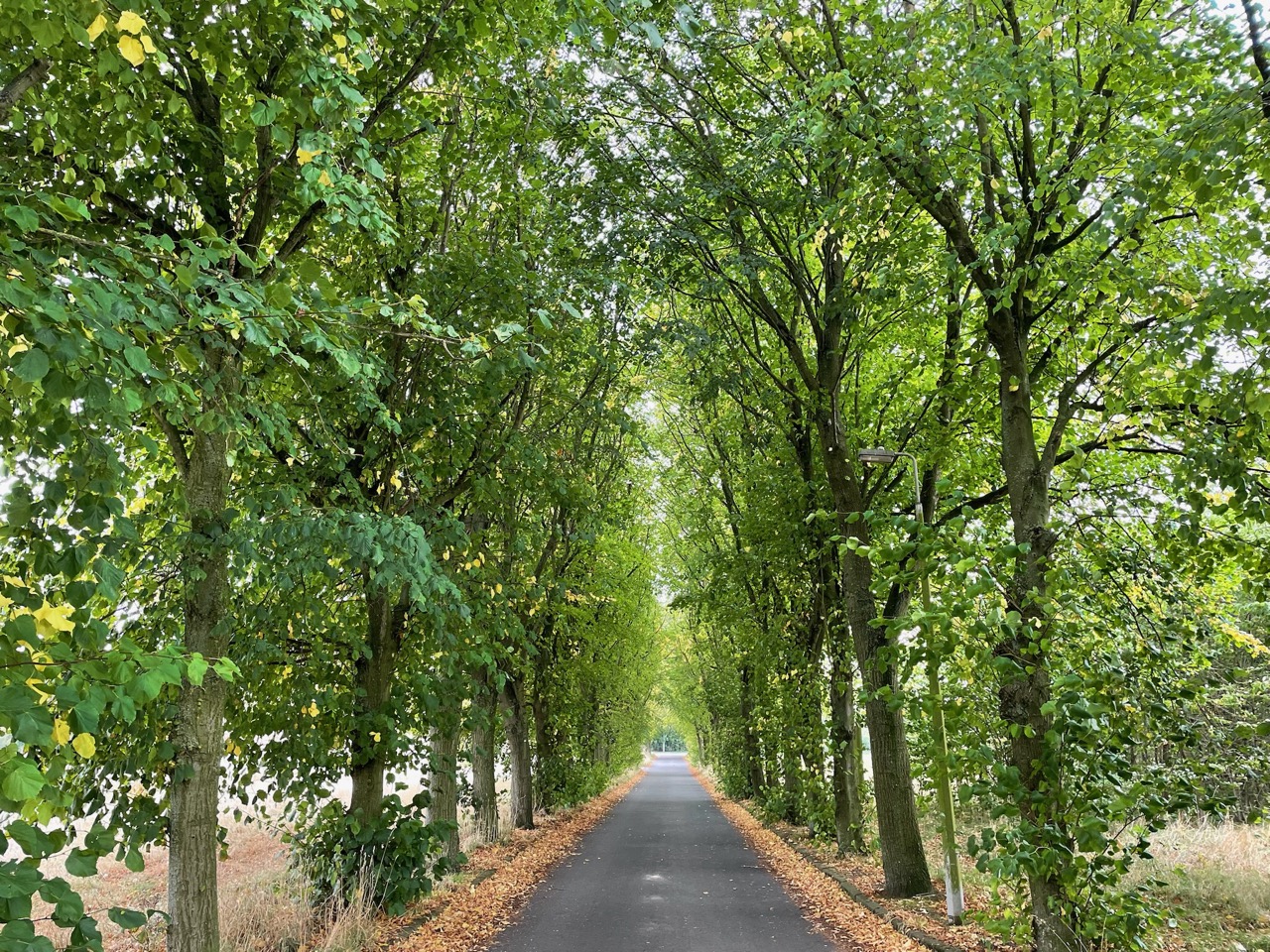 York Road, Kirton in Lindsey