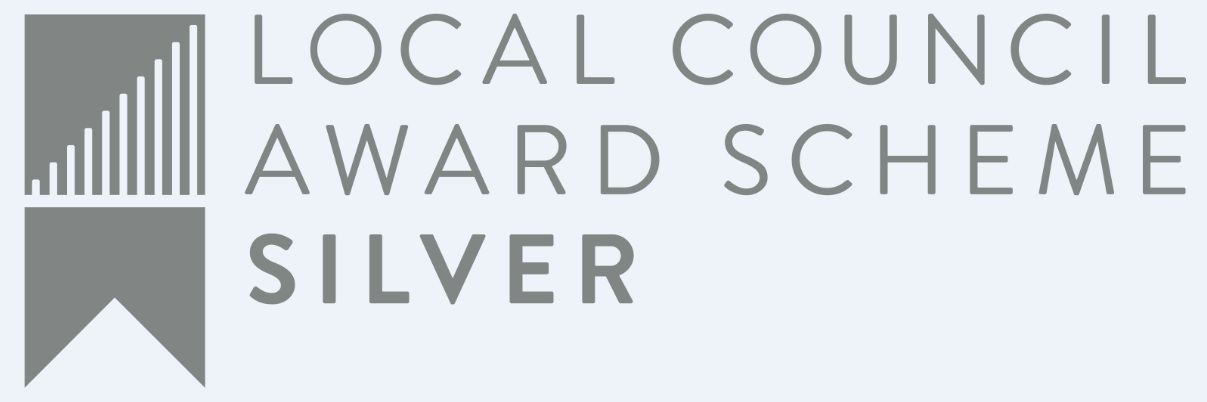 Local Council Awards Silver logo